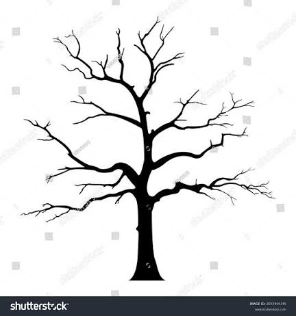 درخت بدون برگ
